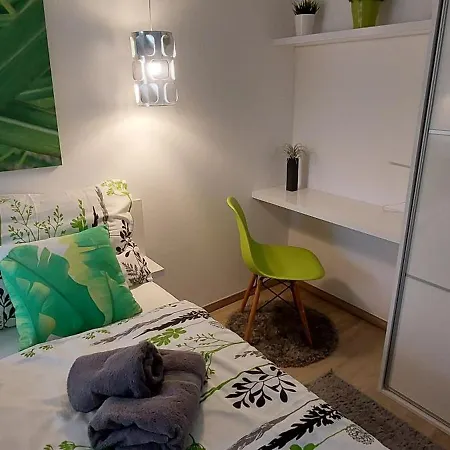 Catamaran 213 شيوفوك